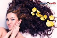 Home remedies to get soft hair beauty tips