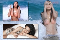 Sonal chauhan expose body bikini wear in pandaga chesko movie