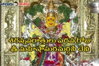 Sri mahishasura mardini devi in saranavaratrulu