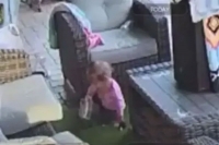 Man horrified after seeing toddler daughter playing with tarantula