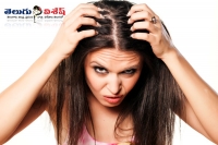 Home remedies to get rid from dandruff problem haircare beauty tips