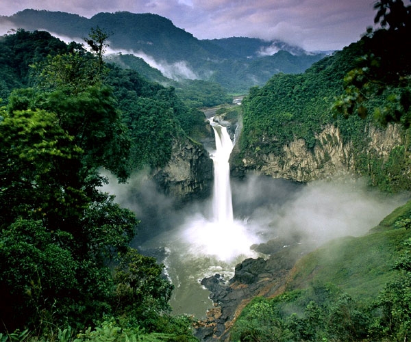 The largest forests in the world which are more beautiful