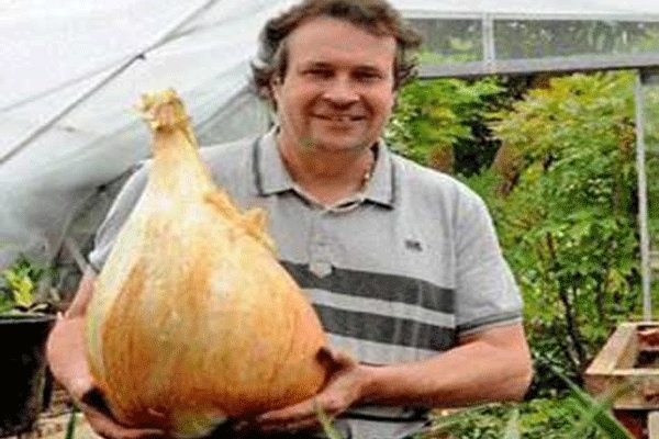 World s largest onion gets place in guinness book