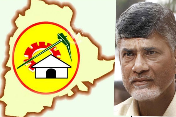 Tdp party will not have even one seat in legislative council