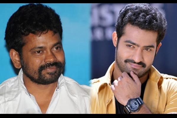 Ntr agreed to do a film with sukumar