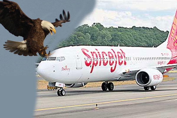 Eagle hits spice jest aircraft in gannavaram airport
