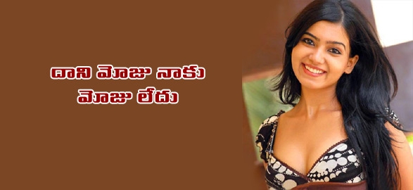 Samantha rejects hindi movie offers