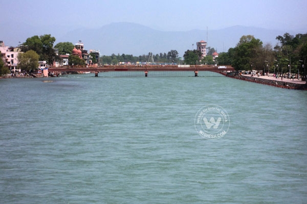 Ganga river cleaning giving good results to aquatic life