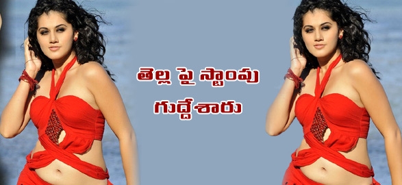 Tapsee New Iron Leg Of Tollywood.png