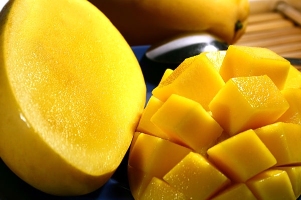 Seedless mango sindhu invent