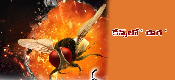 eega be screened at cannes.png