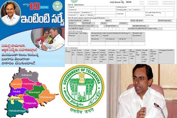 Telangana survey 100 not completed