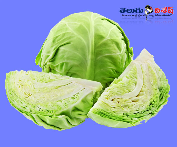క్యాబేజ్ (Cabbage) | health fruits | healthy food items | Photo of 0