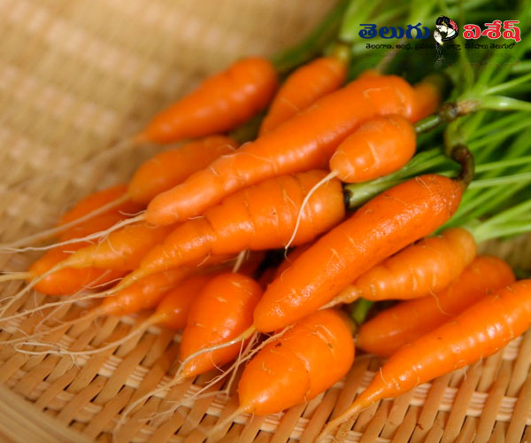 క్యారెట్స్ (Carrots) | healthy remedies | health tips | Photo of 0