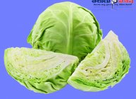 క్యాబేజ్ (Cabbage)