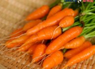 క్యారెట్స్ (Carrots)
