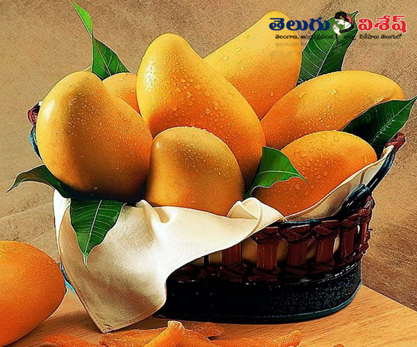healthy home remedies | healthy foods | మామిడి పండ్లు (mango) | Photo of 0