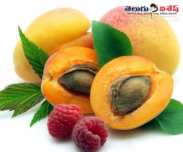 Photo of 0 | ఆప్రికాట్ | healthy foods | bones health
