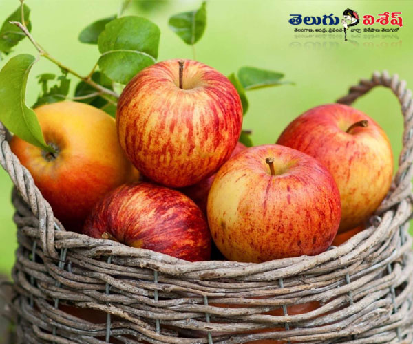 ఆపిల్స్ (Apples) | Photo of 0 | healthy foods | healthy foods