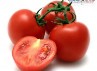 టమోటో (Tomatoes)