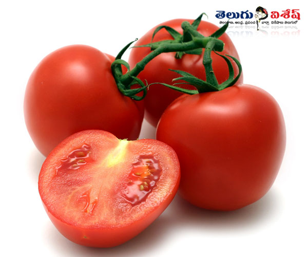 టమోటో (Tomatoes)