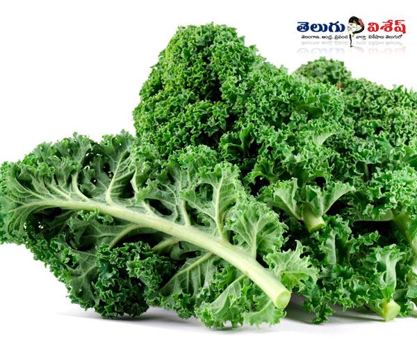 కాలే | green vegetables | fat healthy tips | Photo of 0
