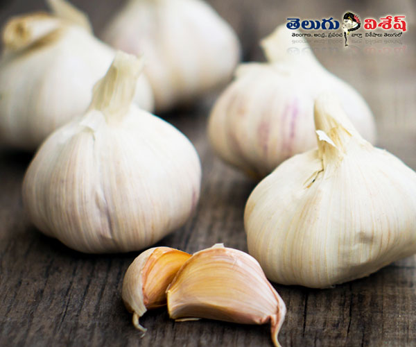 blood circulate tips | best foods | Photo of 0 | వెల్లుల్లి