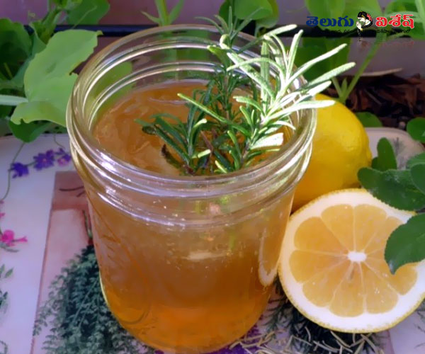 రోజ్మెరీ టీ | migraine headache tips | Photo of 0 | healthy herbal teas
