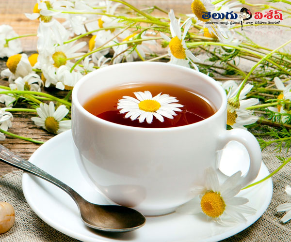 home remedies | herbal teas | Photo of 0 | సీమ చామంతి