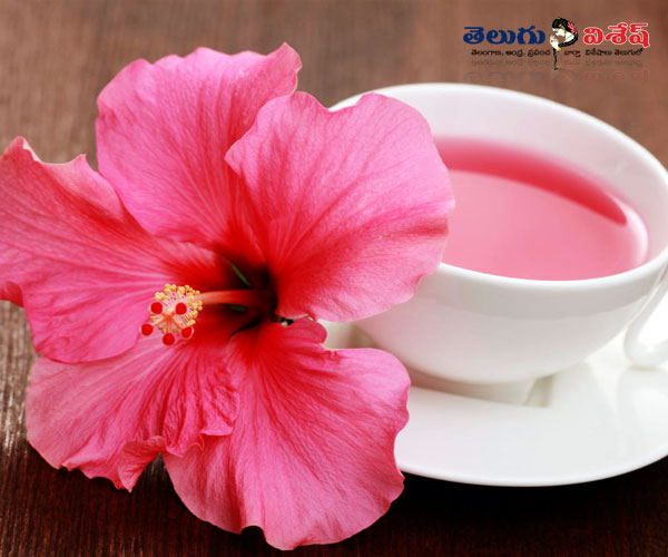 Photo of 0 | herbal teas | herbal chais | మందార టీ