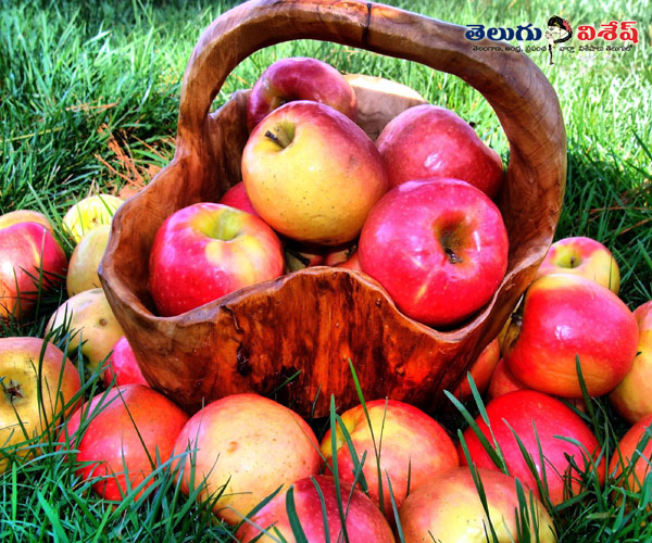ఆపిల్స్ | liver health | Photo of 0 | healthy foods for liver