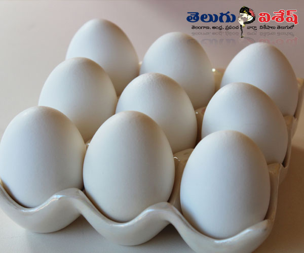 best foods for breakfast | గుడ్లు (eggs) | summer news | Photo of 0