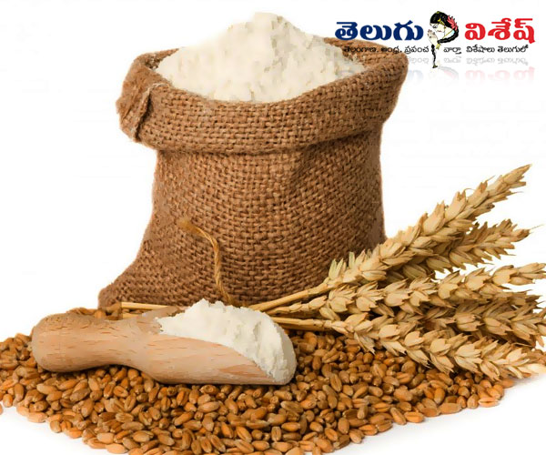 గోధుమలు (wheat flour) | Photo of 0 | nutrients foods | immunity levels foods