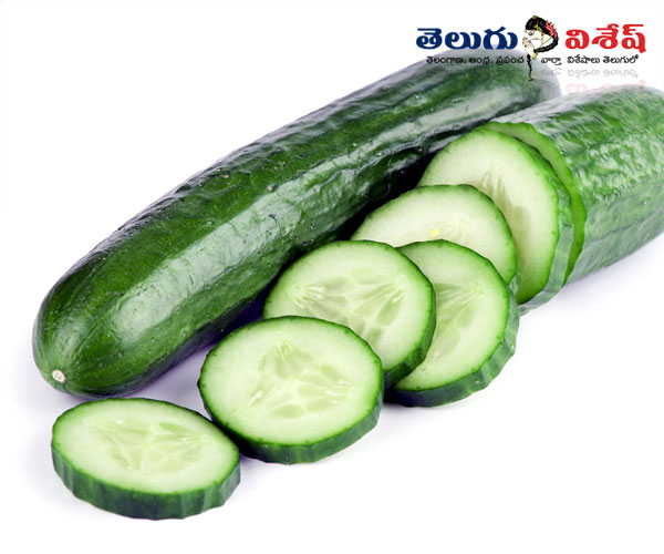 healthy food items | కీరదోస (Cucumber) | Photo of 0 | summer vegetables