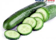 కీరదోస (Cucumber)