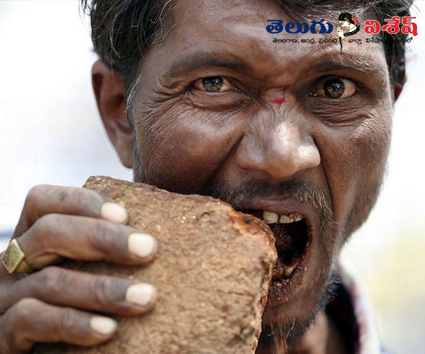 non food eating people | ridiculous non food things | ఇటుకలు & రాళ్లు (Bricks and stones) | Photo of 0