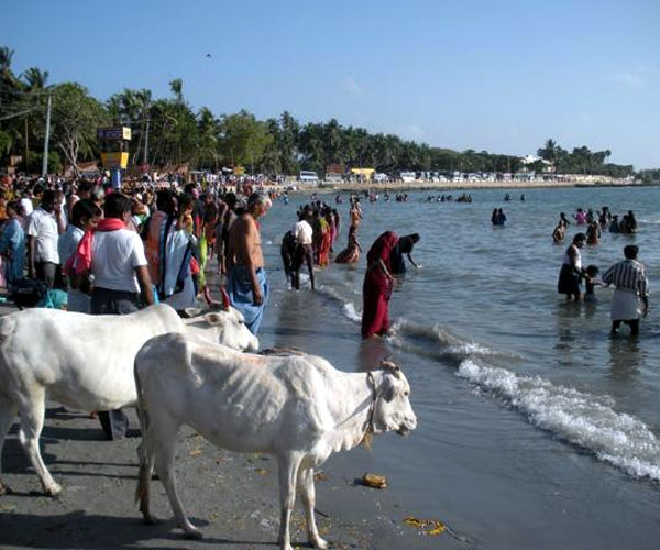 the wonderful beaches | రామేశ్వర సముద్రతీరం | the beautiful beaches | Photo of 0