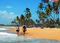 గోవా బీచ్ (Goa beaches)