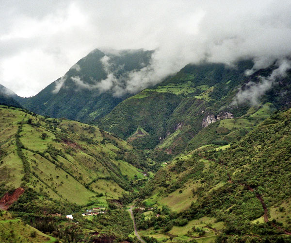 ఏక్వాడోర్ క్లౌడ్ ఫారెస్ట్ (Ecuador Cloud Forest)