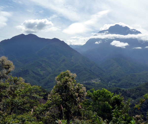 Photo of 0 | forests in the world | beautiful forests | కినబాలు నేషనల్ పార్క్ (Kinabalu National Park)