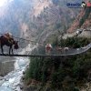 హ్యాంగింగ్ బ్రిడ్జీ (Hanging bridge)