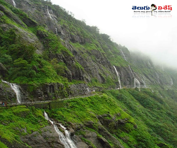 wayanad tourist spots | Photo of 0 | wayanad tourist spots | నీలిమల వ్యూ పాయంట్