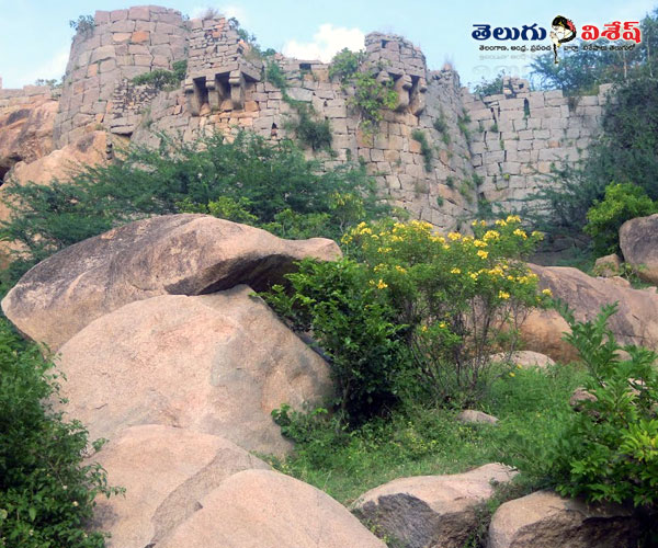 telugu states destinations | telugu states tourist spots | Photo of 0 | కోయిలకొండ కోట