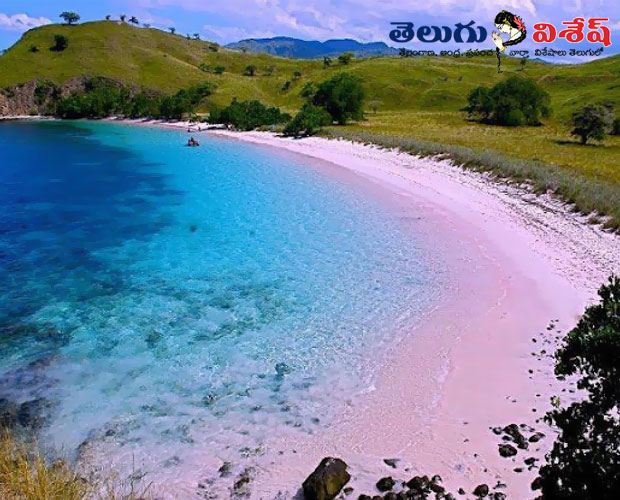 పింక్ స్యాండ్ బీచ్ (Pink Sand Beach) | Photo 3of 10 | beautiful hill stations | best beaches in world