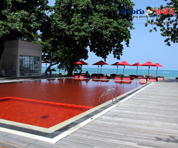 లైబ్రరీ పూల్ (Library) | beautiful swimming pools | swimming pools | Photo 5of 9