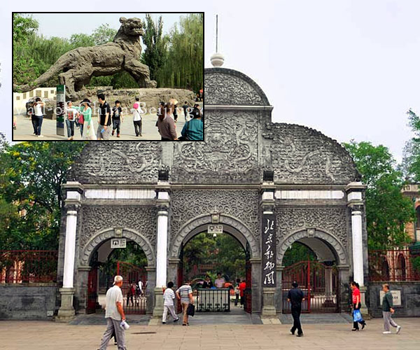 బీజింగ్ జూ (Beijing Zoo) | biggest zoos in world | Photo 10of 10 | Philadelphia Zoo