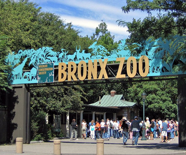 బ్రాంజ్ జూ (Bronx Zoo) | Wellington Zoo | Photo 8of 10 | London Zoo