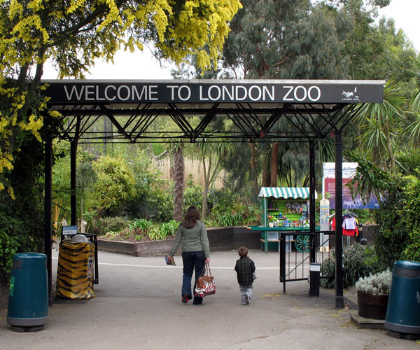 Berlin Zoo | లండన్ జూ (London Zoo)  | Photo 7of 10 | worlds beautiful zoos