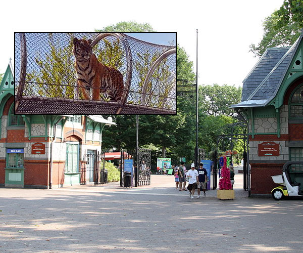 ఫిలడెల్ఫియా జూ (Philadelphia Zoo) | Photo of 0 | worlds facinating zoos | largest zoos in world