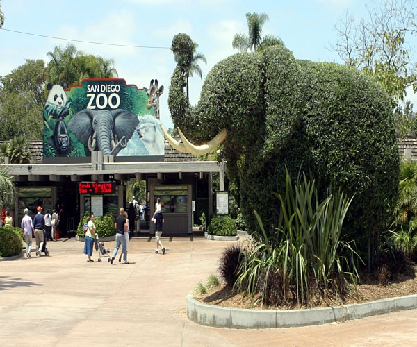 శాన్ డియేగో (San Diego Zoo) | London Zoo | Photo 4of 10 | worlds beautiful zoos